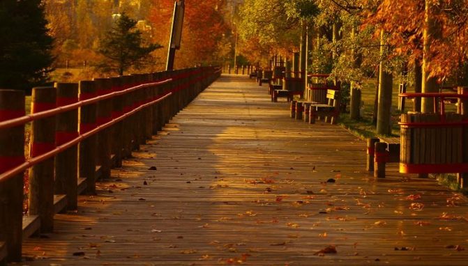 Red Rock boardwalk