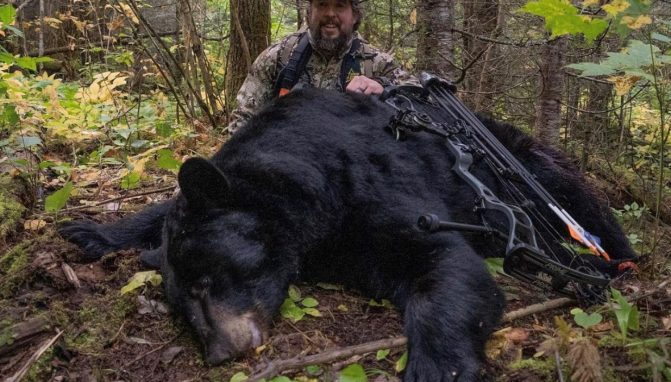 Northern Ontario Bear Hunting - Nipigon River Bear Hunts