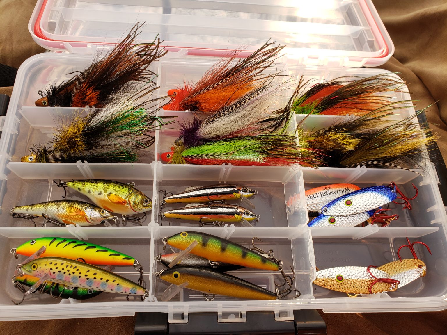 Top Five Lure Presentations for Brook Trout Superior Country